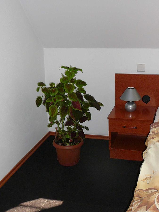Penzion Praktik Krumlov Prisecna Bilik gambar